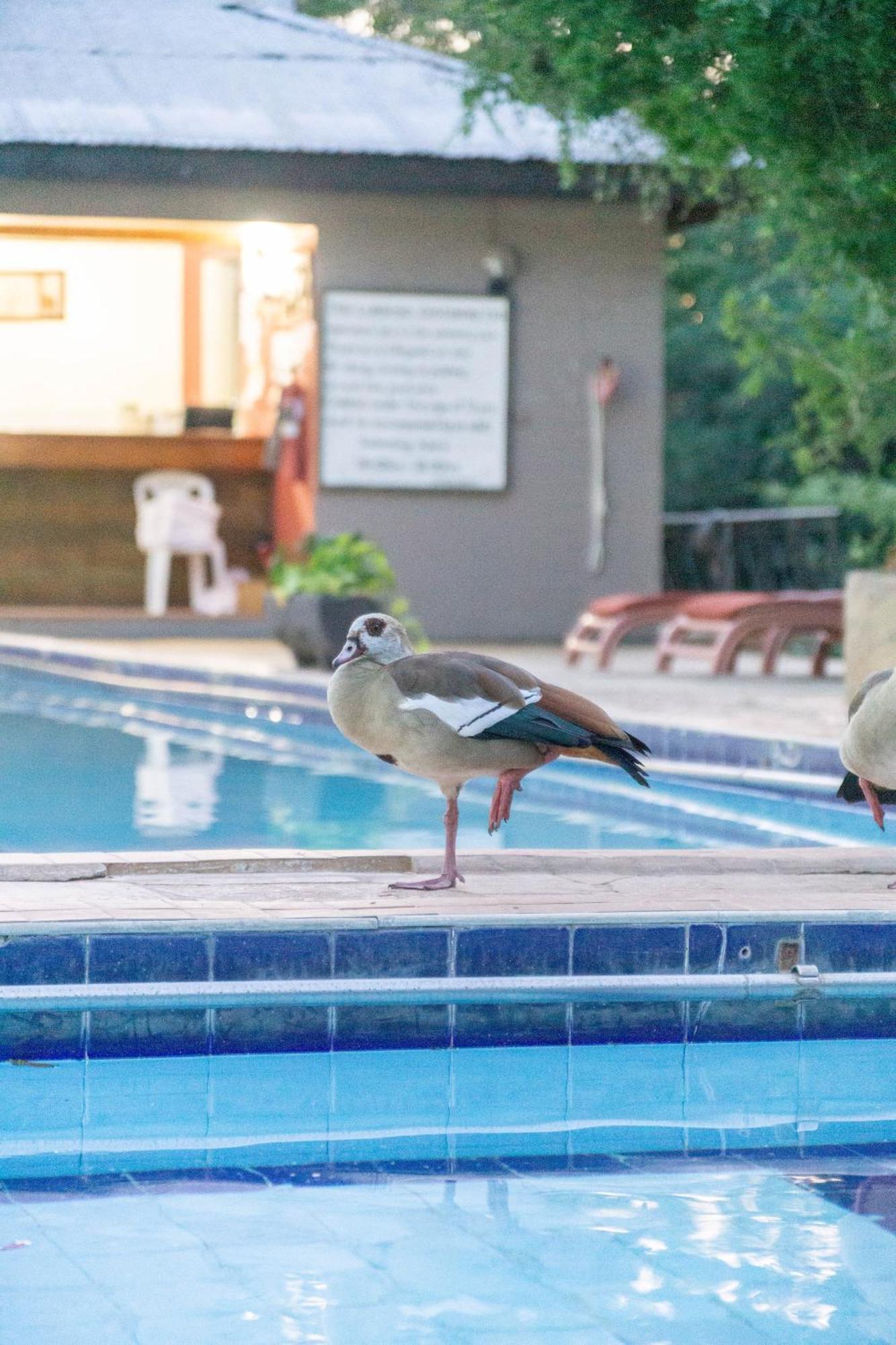 Lukenya Getaway Hotel Athi River Eksteriør billede