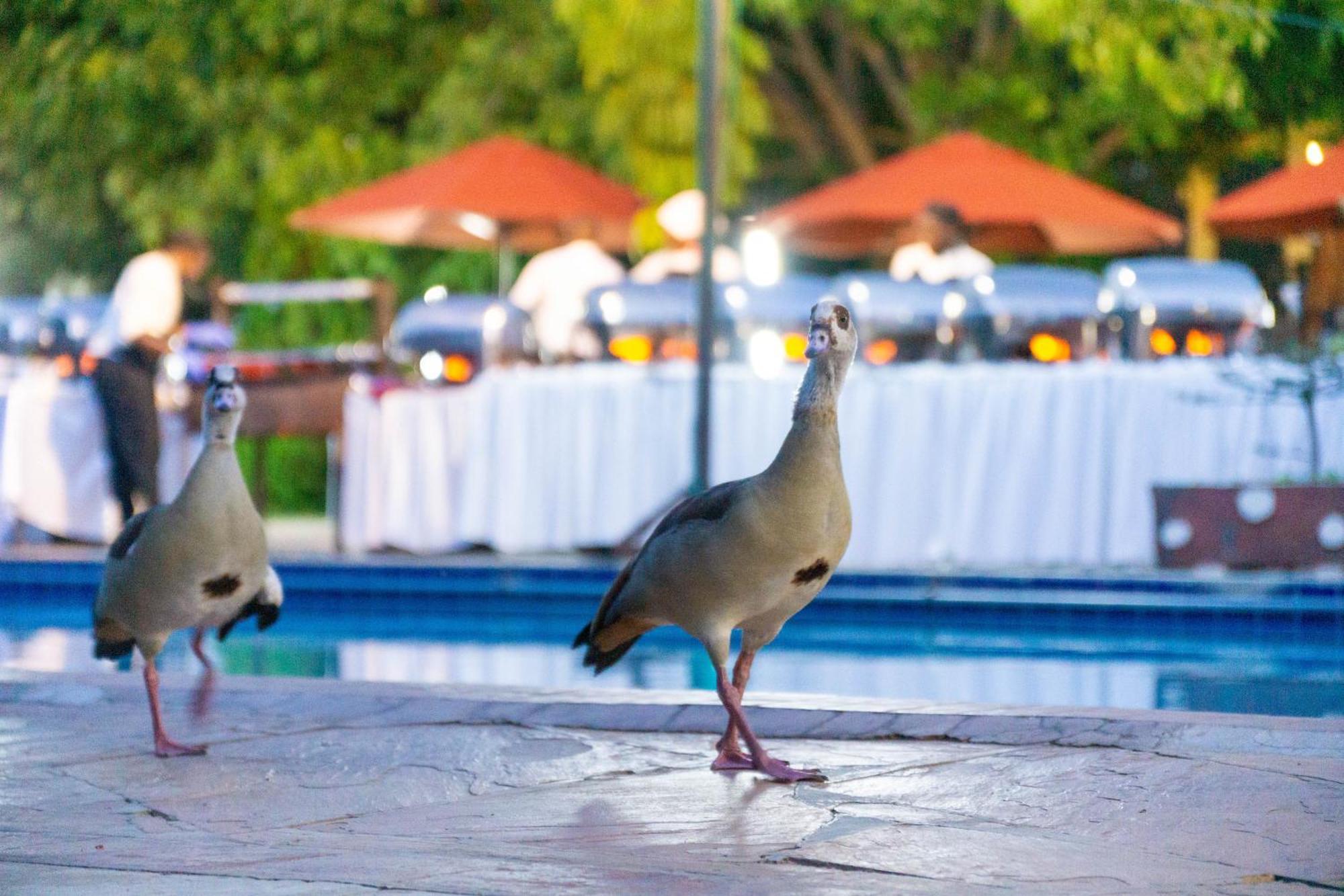 Lukenya Getaway Hotel Athi River Eksteriør billede