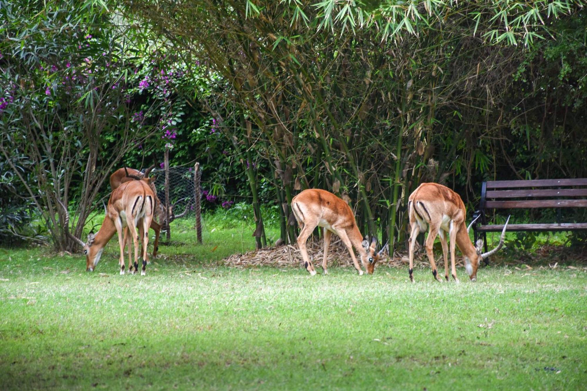Lukenya Getaway Hotel Athi River Eksteriør billede